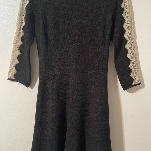Rachel Roy Black Dress with Cream Lace on sleeves and back. Zip back Size 10. - Picture 3 of 4